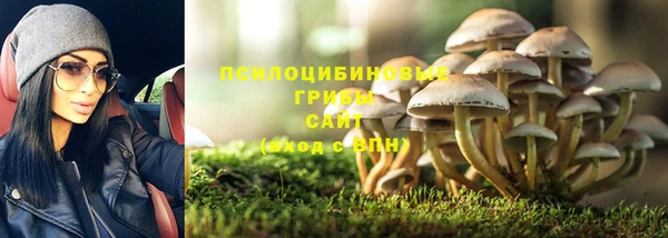 apvp Белокуриха