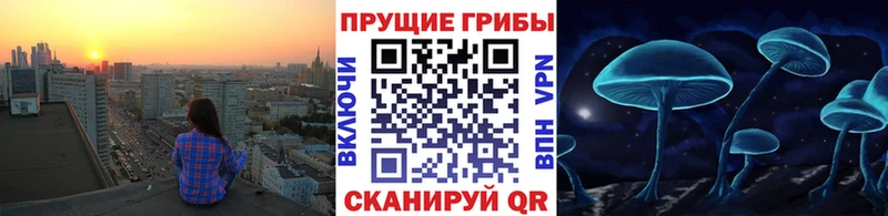Галлюциногенные грибы ЛСД  Купить  Мыски 
