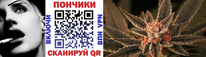 Купить где  Мыски  Бошки марихуана сатива 